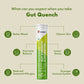 Gut Quench Pre Pro Biotic Hydration Effervescent Tablets - Stanmark Wellness